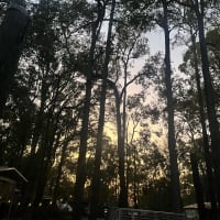 Photo by Katherine S.