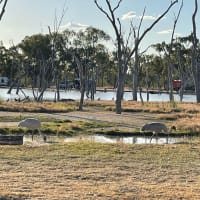 Photo by Happy Hour Hunters