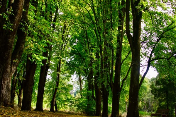 Photo by Jaspreet S.