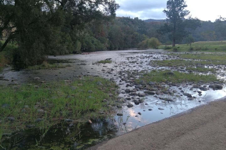 Photo by Michelle Clair Ovenden