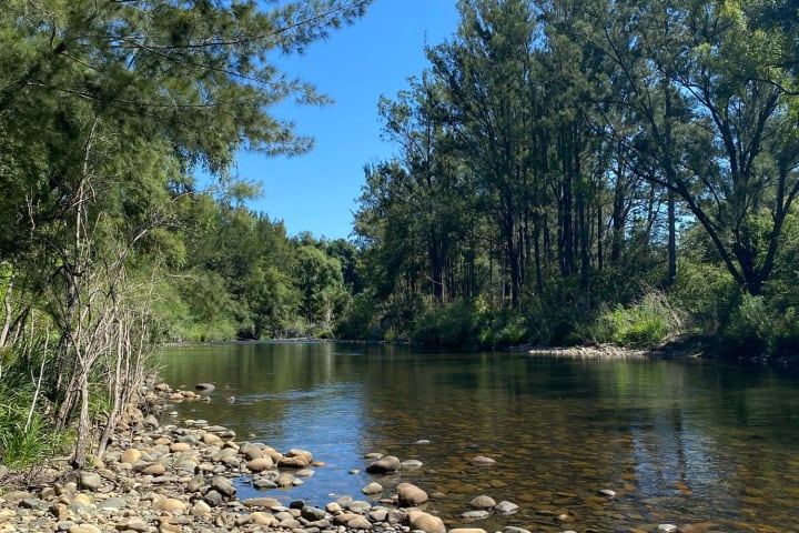 Photo by Louise Le Roux