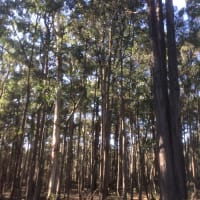 Photo by Els en Tanja