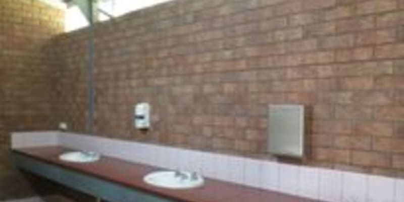 Photo by Michelle C.