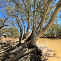 Photo by Happy Hour Hunters