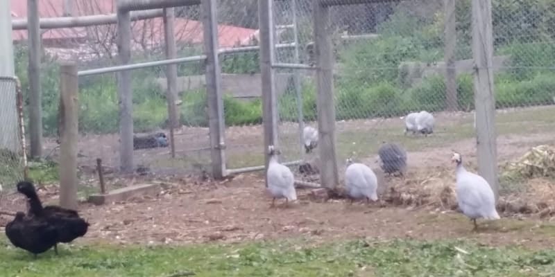 Photo by Jenni-Dawn B.