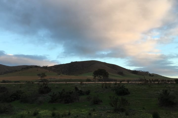 Photo by Francesca S.