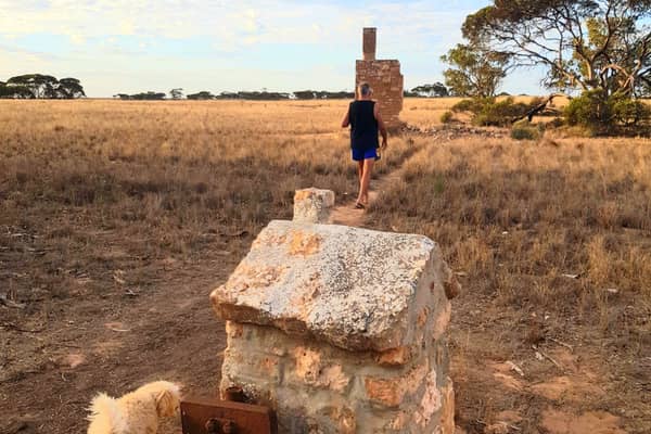 Photo by Donna Alston Hobbs