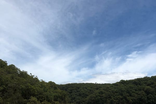 Photo by _haere.ki.waho_