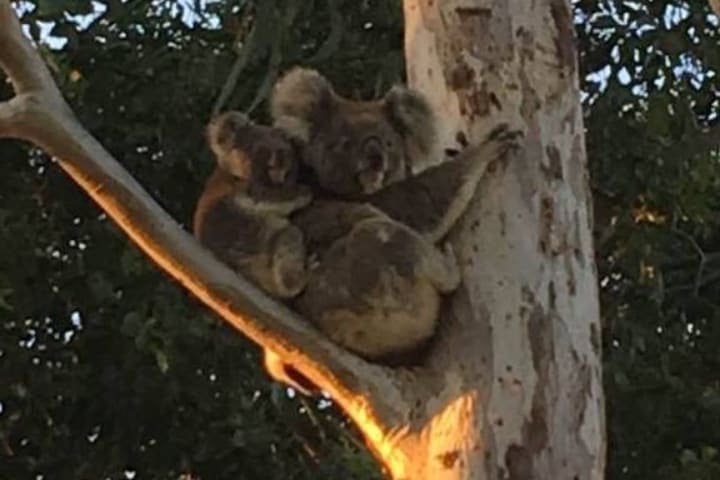 Photo by Michelle G.