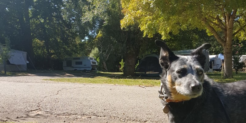 Photo by Fränzi and Tom - Jamieson Caravan Park