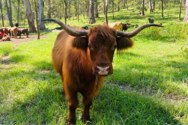 Photo by Rhiannon K.