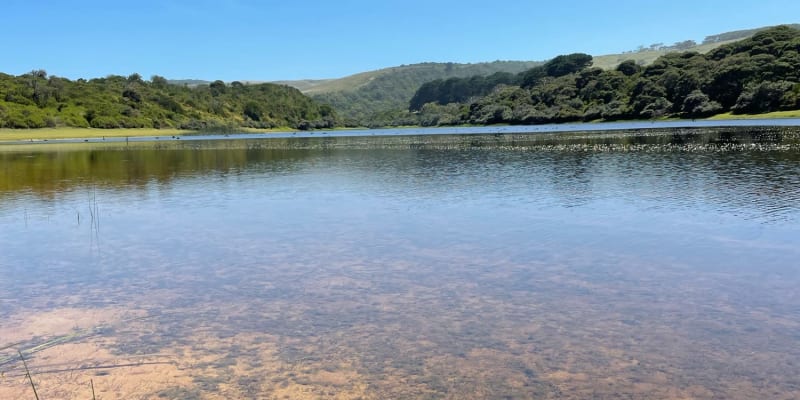 Photo by Happy Hour Hunters