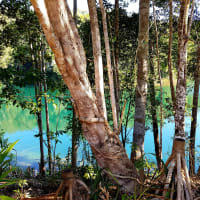 Photo by My Rig Adventures