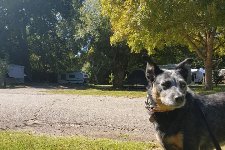 Photo by Fränzi and Tom - Jamieson Caravan Park