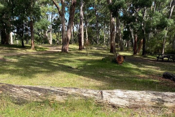 Photo by Chris Titan Topher