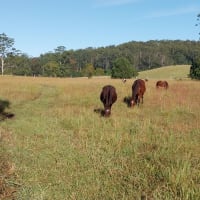 Photo by Colin van den Hoff