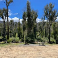 Photo by red truck reviews