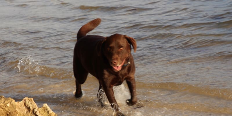 Photo by Four Hands in a Tin Can