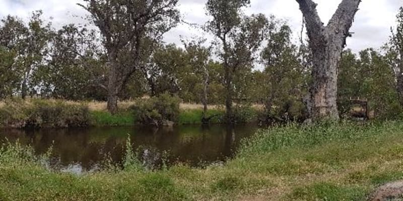 Photo by Connie de Koning