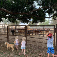 Photo by Corporate to Caravan