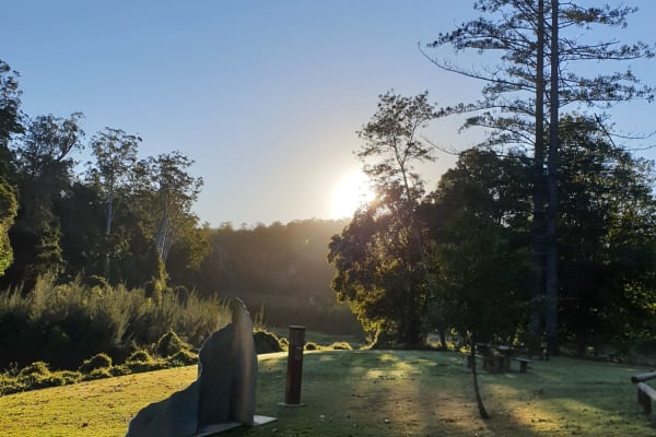 Photo by Rhonda Jenner Symes