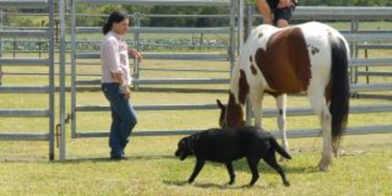 Photo by Gary & Tamara Maile