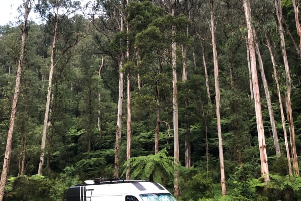 Photo by James Douglas Mitchell