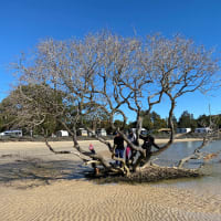 Photo by Krishantha E.