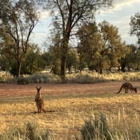 Photo by Happy Hour Hunters