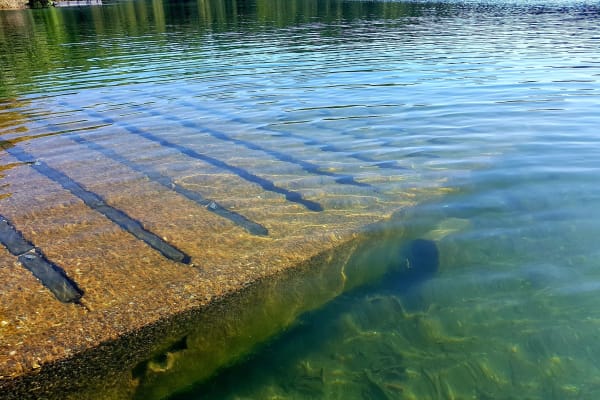 Photo by My Rig Adventures