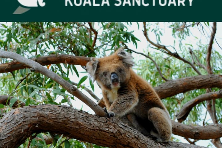 Photo by Helen de la Perrelle