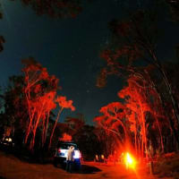 Photo by NightRanger D.