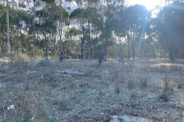 Photo by Katherine B.