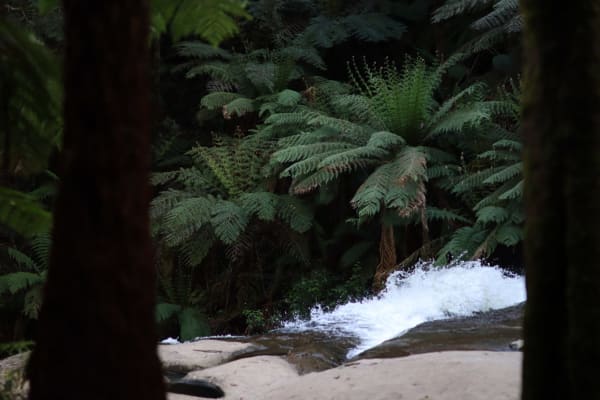 Photo by Isabella H.