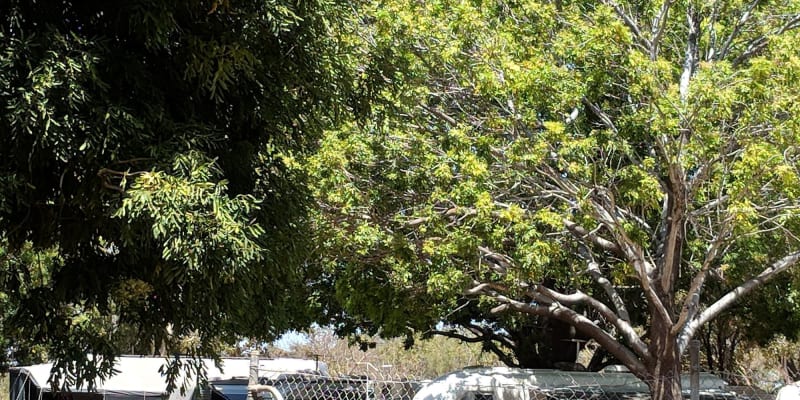 Photo of Kununurra Agricultural Society Showgrounds