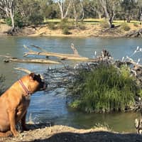 Photo by Michelle F.