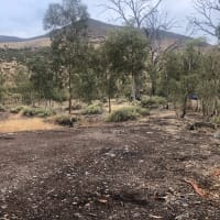 Photo by Billie-jade S.