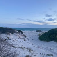 Photo by Elisabeth D.