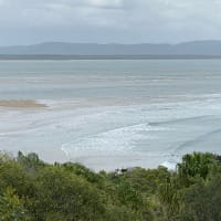 Photo by Jane and Shane