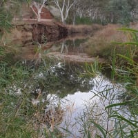 Photo by Kristine S.