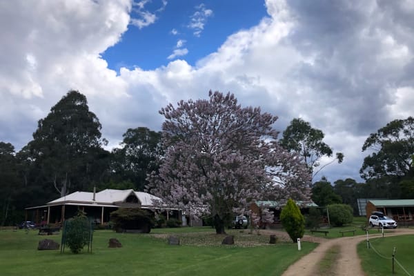 Photo by Madalina D.