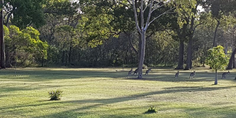 Photo by Deepwater Hideaway Farm Camp Stay