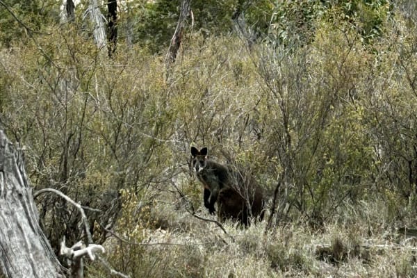 Photo by Chelsea and Jye