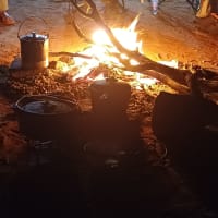 Photo by NightRanger D.