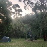 Photo by Samantha C.