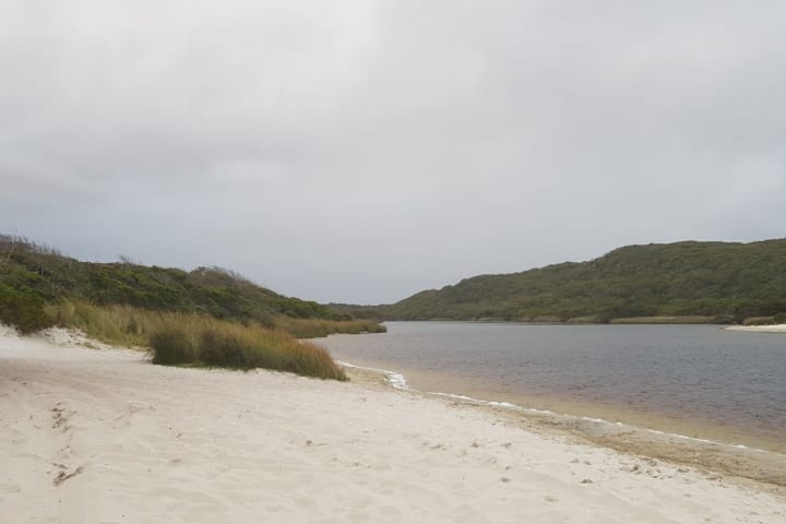 Photo by Carolyne H.