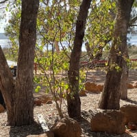 Photo by Adrienne C.