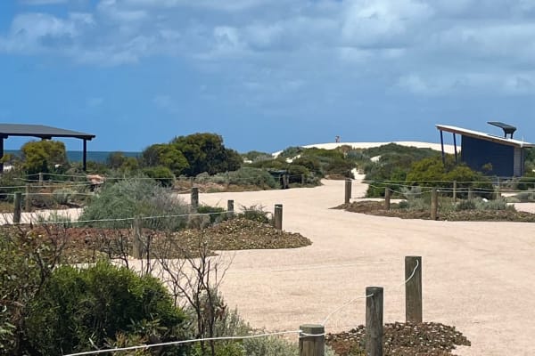 Photo by Allyjane M.