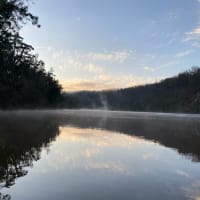 Photo by Hadleigh S.