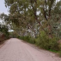 Photo by Kristine S.